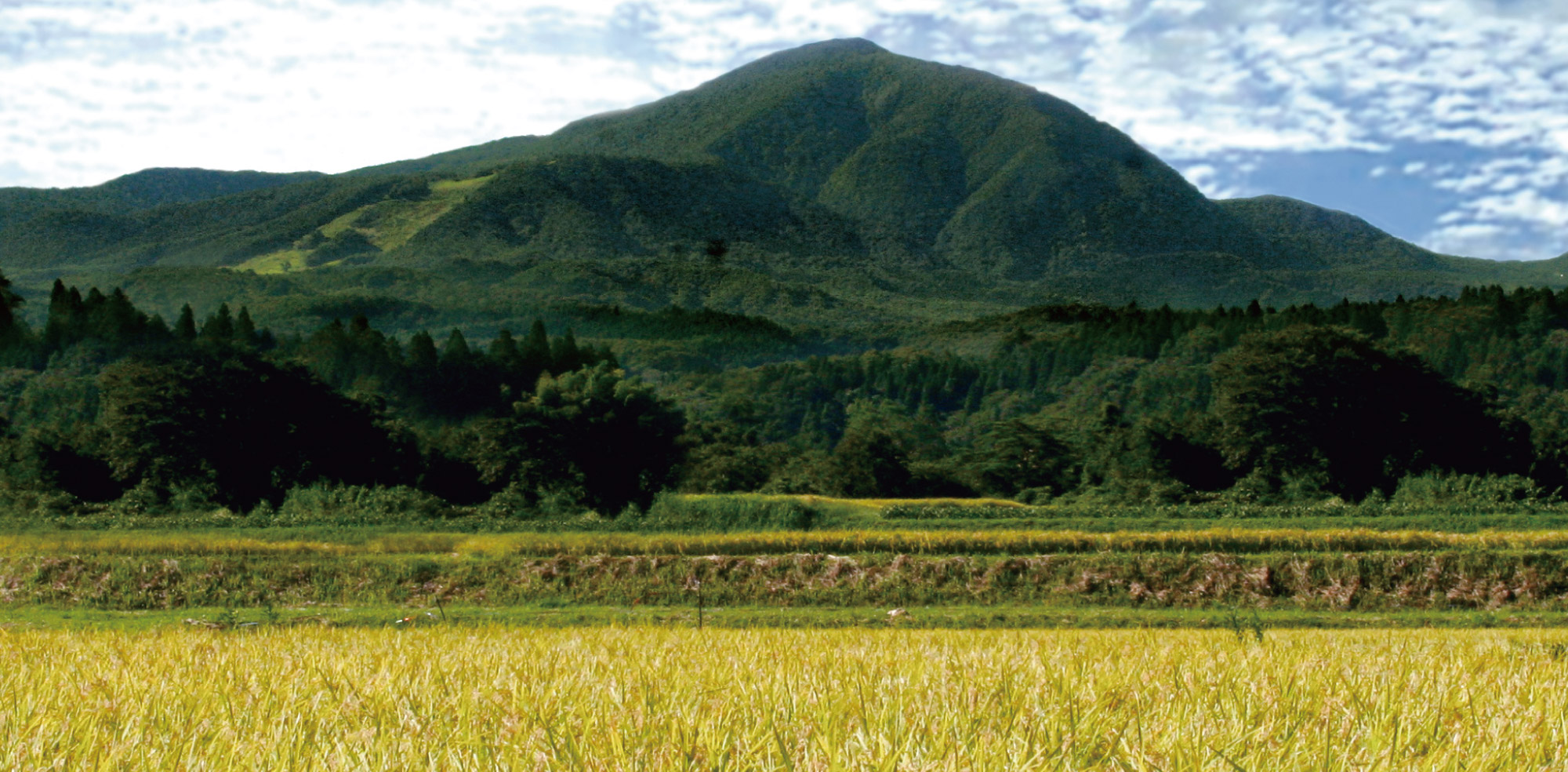 KATSUYAMA